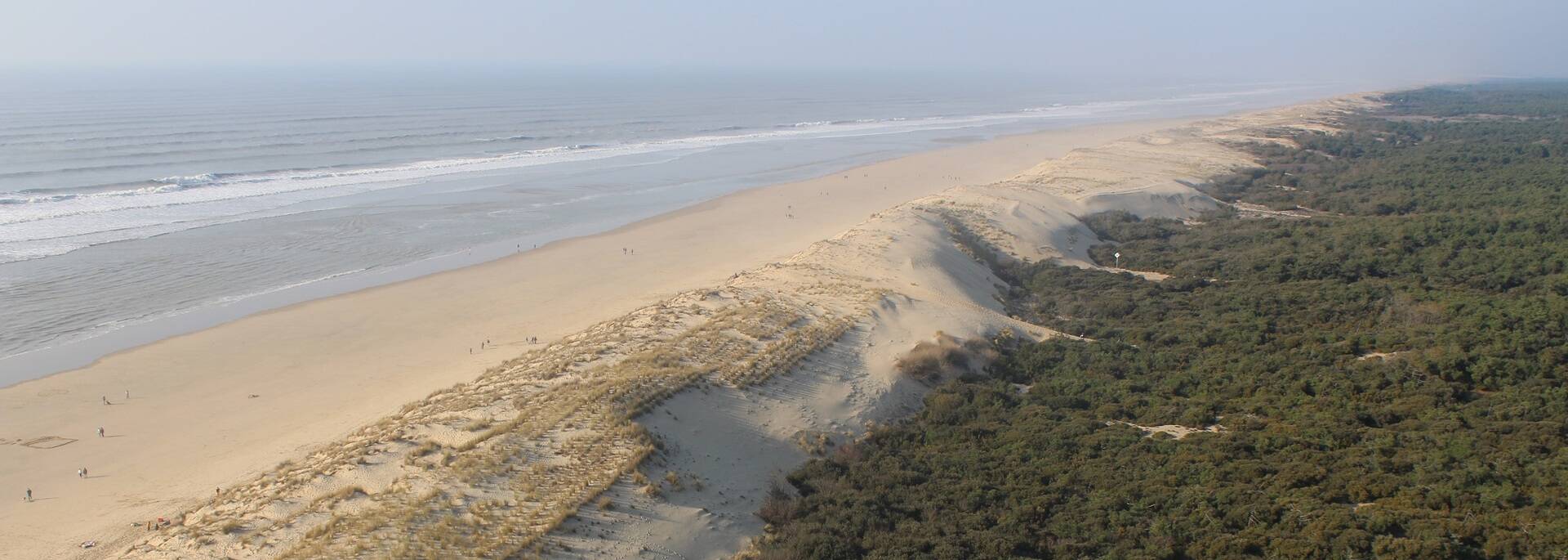 Le littoral de la Côte Sauvage vu du phare - ©P.Migaud / FDHPA 17