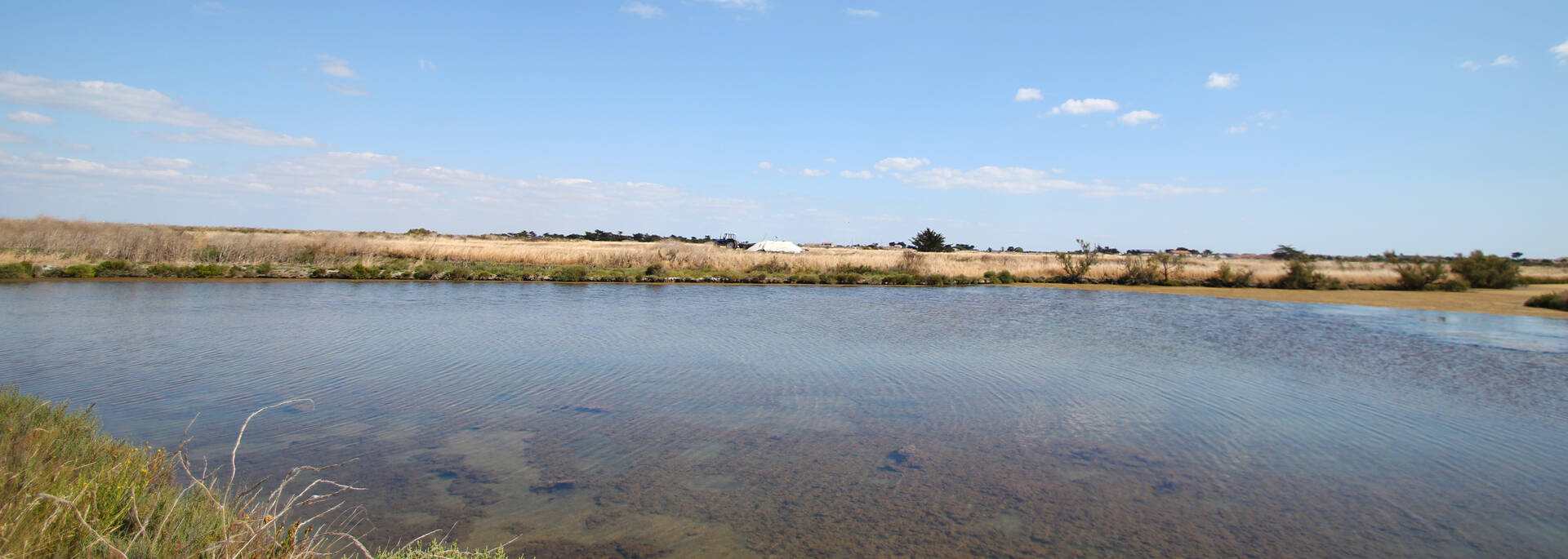 Les marais de l'île de Ré sont à préserver - ©PW Photographie / FDHPA17