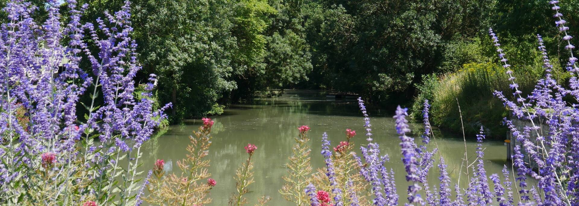 Petit port de la Grêve-sur-le-Mignon en fleurs - @J.RAMOS / FDHPA17