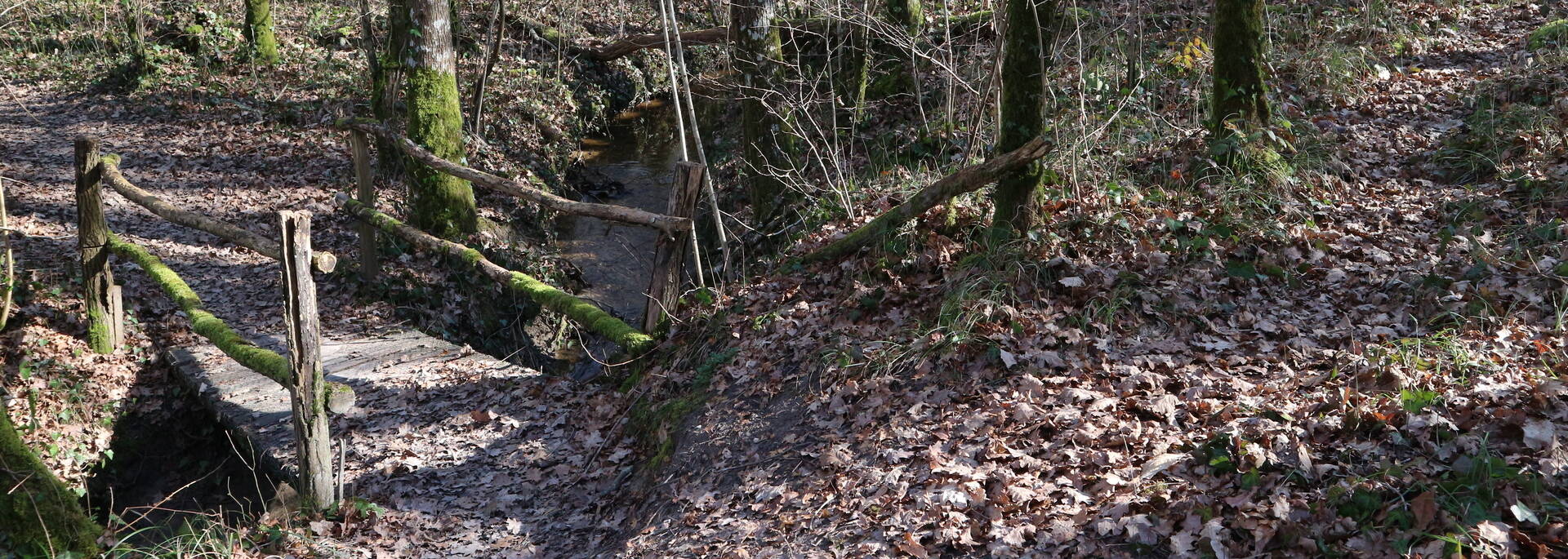 La traversée du sous-bois - © Christelle Lamothe / FDHPA 17