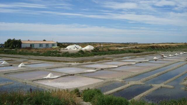 Vue les sur marais salants à Loix en Ré - ©S.Nadouce / Charentes Tourisme