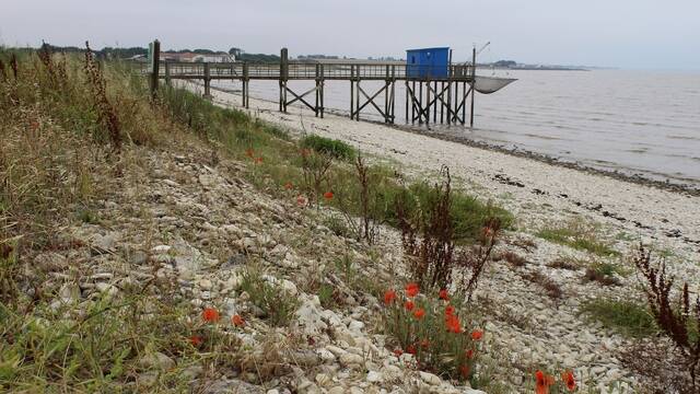 Carrelet sur la baie de l'Aiguillon - ©P.Migaud - FDHPA17