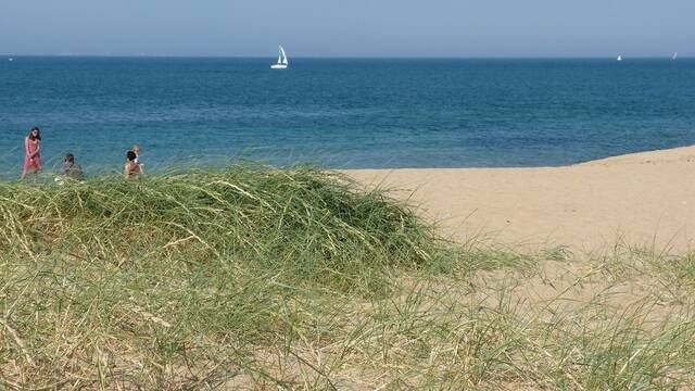 Plage à Saint Denis d'Oléron - ©P.Migaud / FDHPA17