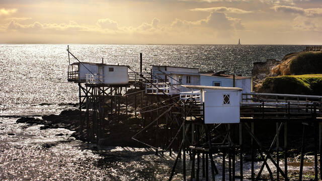 Alignement de carrelets sur la côte royannaise - ©Shutterstock