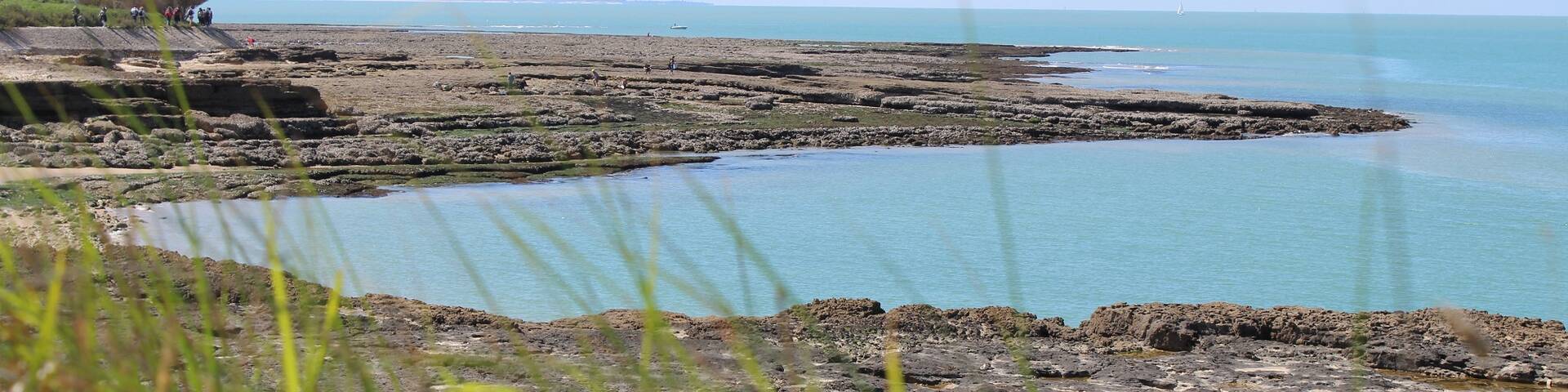 Vue de la côte sur l'île d'Oléron