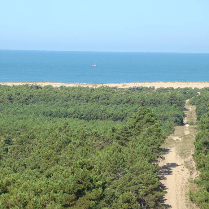 La côte sauvage, la forêt de pins et la mer © Elsa COEFFE / CMT