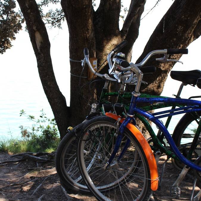 Balade à vélo sur l'île d'Aix - P.Migaud FDHPA17