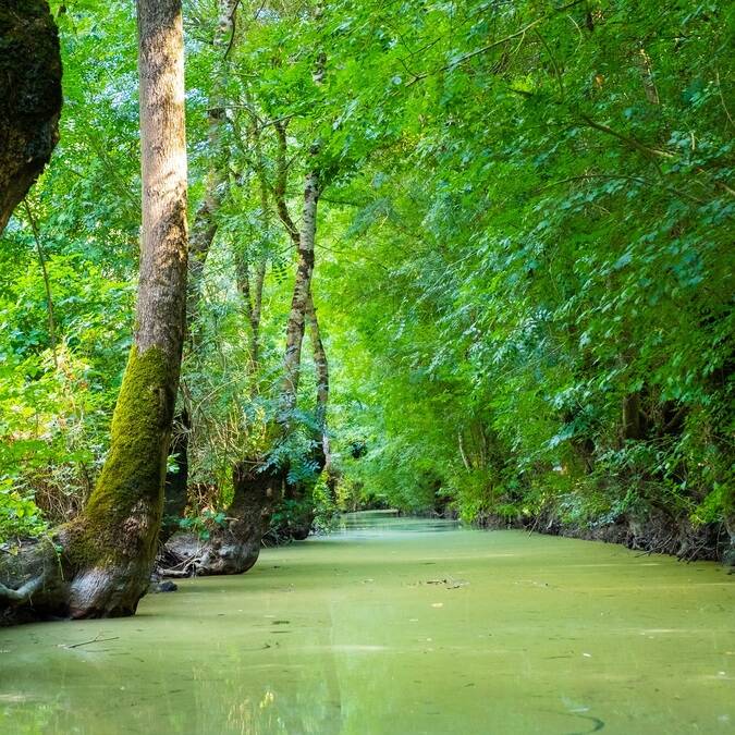 Canaux dans le Marais Poitevin - ©Shutterstock